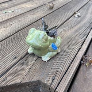 Frog Planter